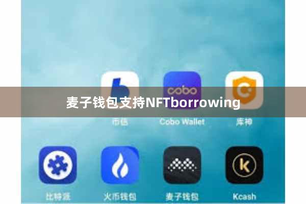 麦子钱包支持NFTborrowing