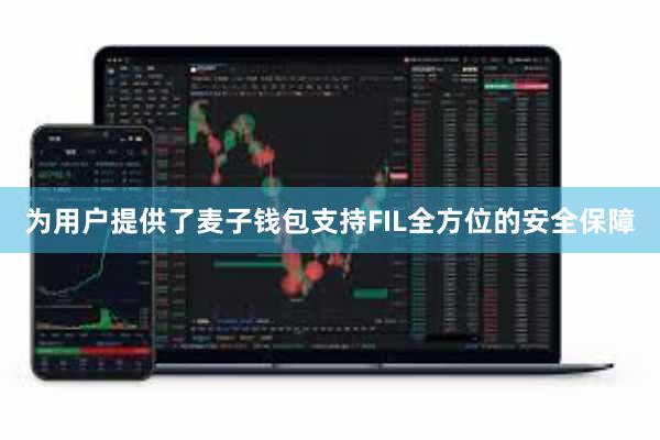 为用户提供了麦子钱包支持FIL全方位的安全保障