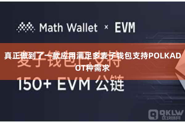 真正做到了一款应用满足多麦子钱包支持POLKADOT种需求