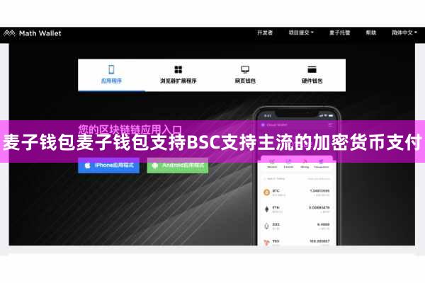 麦子钱包麦子钱包支持BSC支持主流的加密货币支付