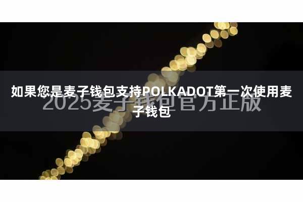 如果您是麦子钱包支持POLKADOT第一次使用麦子钱包