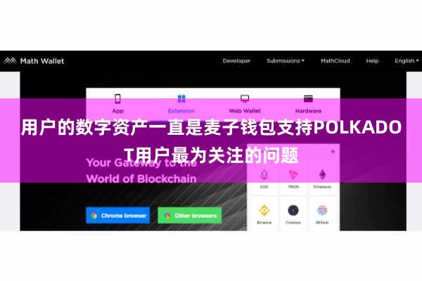 用户的数字资产一直是麦子钱包支持POLKADOT用户最为关注的问题