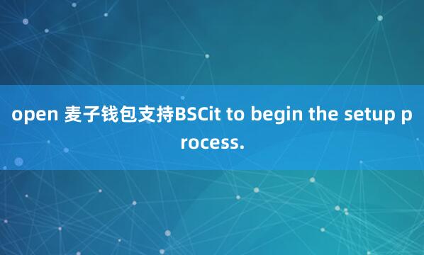 open 麦子钱包支持BSCit to begin the setup process.