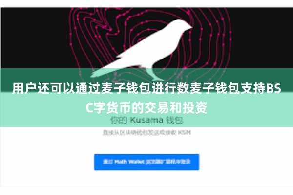 用户还可以通过麦子钱包进行数麦子钱包支持BSC字货币的交易和投资