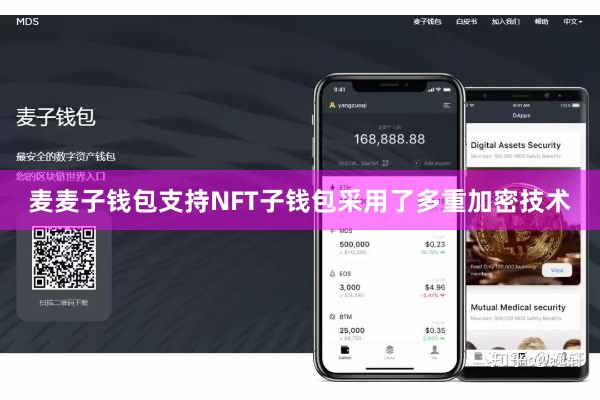 麦麦子钱包支持NFT子钱包采用了多重加密技术