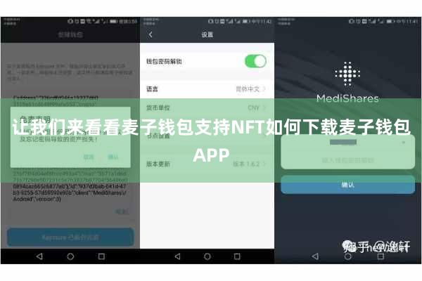 让我们来看看麦子钱包支持NFT如何下载麦子钱包APP