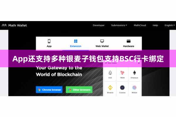 App还支持多种银麦子钱包支持BSC行卡绑定