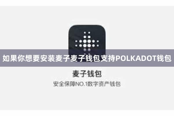 如果你想要安装麦子麦子钱包支持POLKADOT钱包