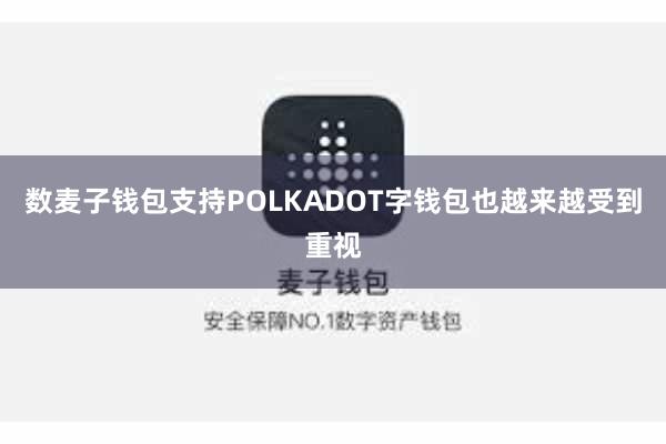 数麦子钱包支持POLKADOT字钱包也越来越受到重视