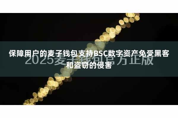 保障用户的麦子钱包支持BSC数字资产免受黑客和盗窃的侵害