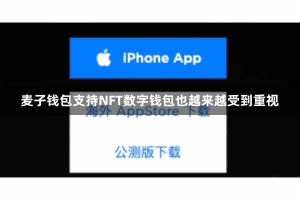 麦子钱包支持NFT数字钱包也越来越受到重视