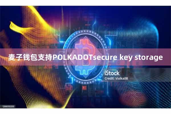 麦子钱包支持POLKADOTsecure key storage