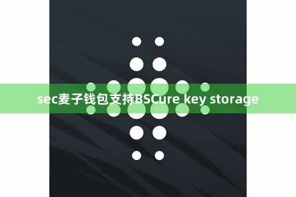 sec麦子钱包支持BSCure key storage