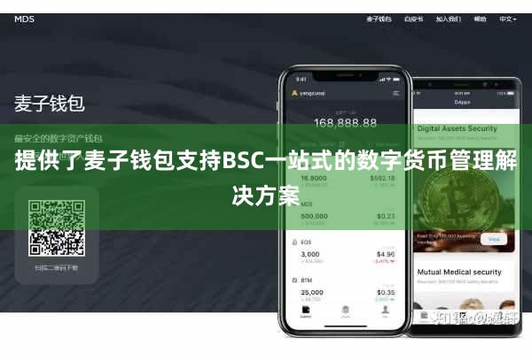 提供了麦子钱包支持BSC一站式的数字货币管理解决方案