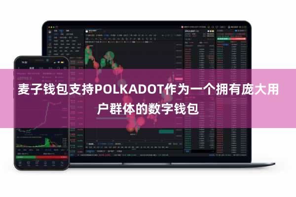 麦子钱包支持POLKADOT作为一个拥有庞大用户群体的数字钱包