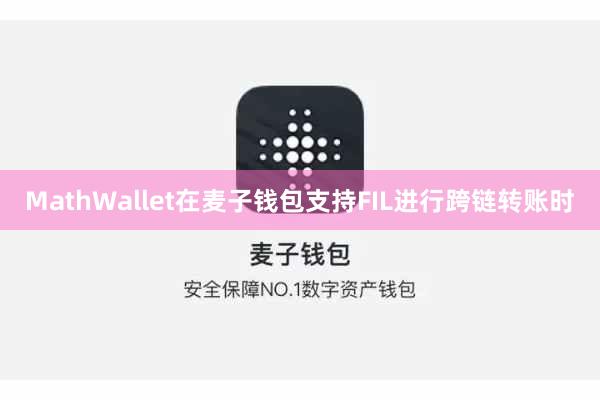 MathWallet在麦子钱包支持FIL进行跨链转账时