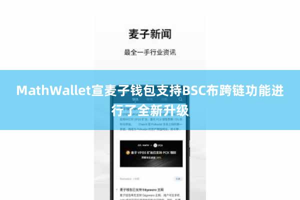 MathWallet宣麦子钱包支持BSC布跨链功能进行了全新升级