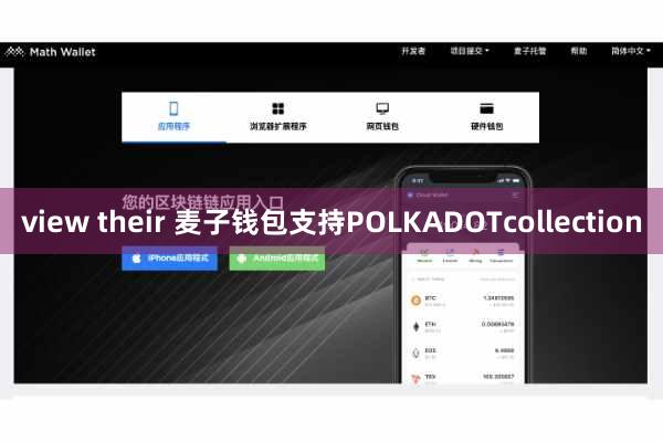 view their 麦子钱包支持POLKADOTcollection