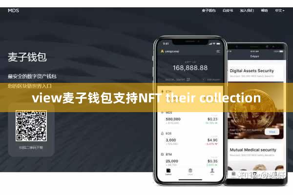 view麦子钱包支持NFT their collection