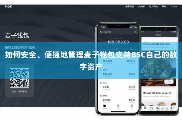 如何安全、便捷地管理麦子钱包支持BSC自己的数字资产