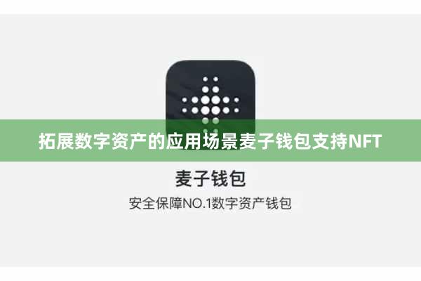 拓展数字资产的应用场景麦子钱包支持NFT