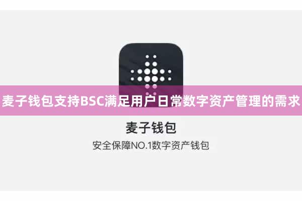 麦子钱包支持BSC满足用户日常数字资产管理的需求