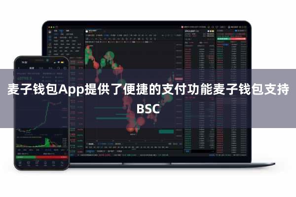 麦子钱包App提供了便捷的支付功能麦子钱包支持BSC