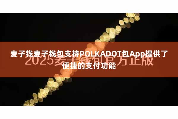 麦子钱麦子钱包支持POLKADOT包App提供了便捷的支付功能