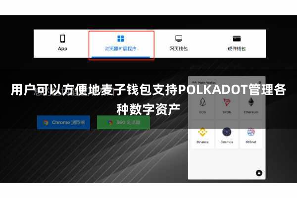 用户可以方便地麦子钱包支持POLKADOT管理各种数字资产
