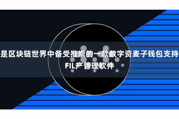 是区块链世界中备受推崇的一款数字资麦子钱包支持FIL产管理软件