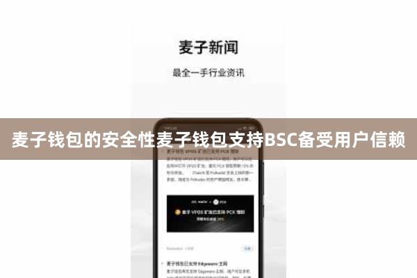 麦子钱包的安全性麦子钱包支持BSC备受用户信赖