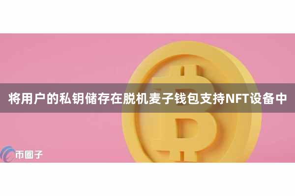 将用户的私钥储存在脱机麦子钱包支持NFT设备中