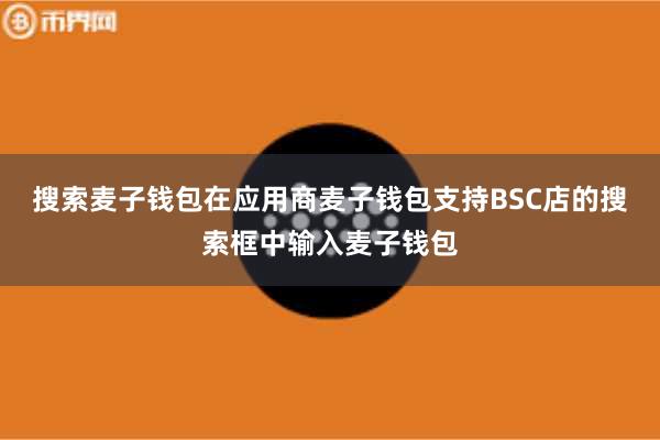 搜索麦子钱包在应用商麦子钱包支持BSC店的搜索框中输入麦子钱包