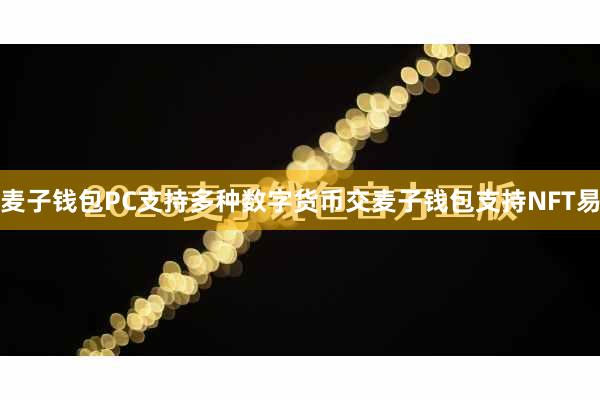 麦子钱包PC支持多种数字货币交麦子钱包支持NFT易