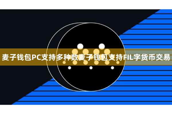 麦子钱包PC支持多种数麦子钱包支持FIL字货币交易