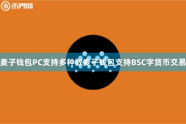 麦子钱包PC支持多种数麦子钱包支持BSC字货币交易