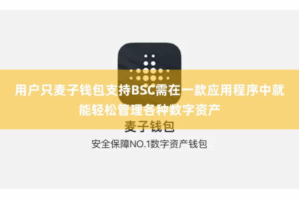 用户只麦子钱包支持BSC需在一款应用程序中就能轻松管理各种数字资产