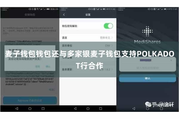麦子钱包钱包还与多家银麦子钱包支持POLKADOT行合作