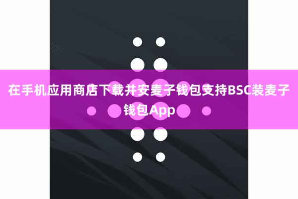 在手机应用商店下载并安麦子钱包支持BSC装麦子钱包App