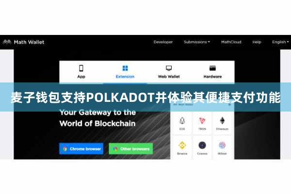 麦子钱包支持POLKADOT并体验其便捷支付功能