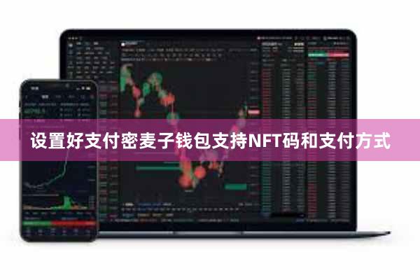 设置好支付密麦子钱包支持NFT码和支付方式
