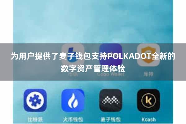 为用户提供了麦子钱包支持POLKADOT全新的数字资产管理体验