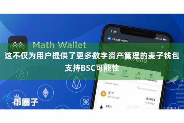 这不仅为用户提供了更多数字资产管理的麦子钱包支持BSC可能性