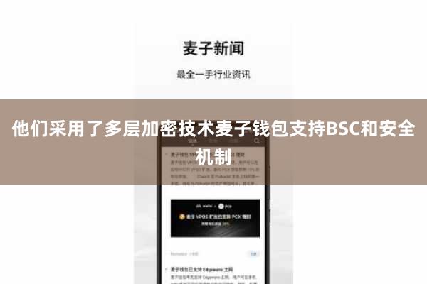 他们采用了多层加密技术麦子钱包支持BSC和安全机制