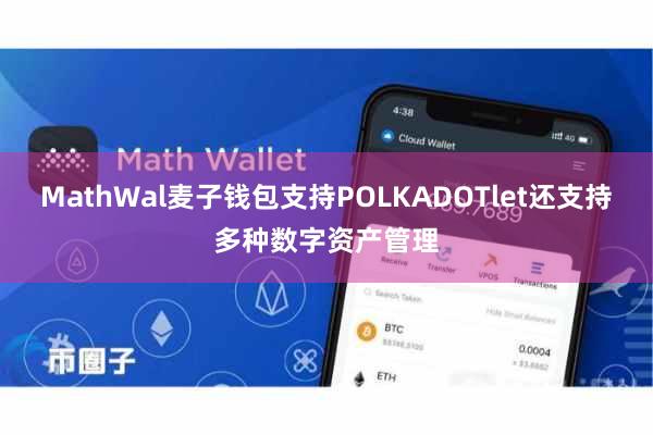 MathWal麦子钱包支持POLKADOTlet还支持多种数字资产管理