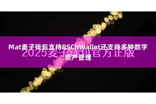 Mat麦子钱包支持BSChWallet还支持多种数字资产管理
